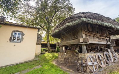 El Museo permanecerá cerrado del 7 de enero al 15 de marzo